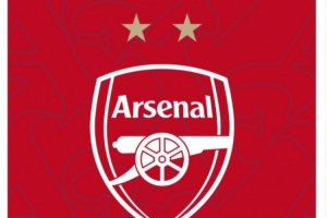 问鼎欧冠！阿森纳女足更换社媒头像，为队徽添上第二颗星